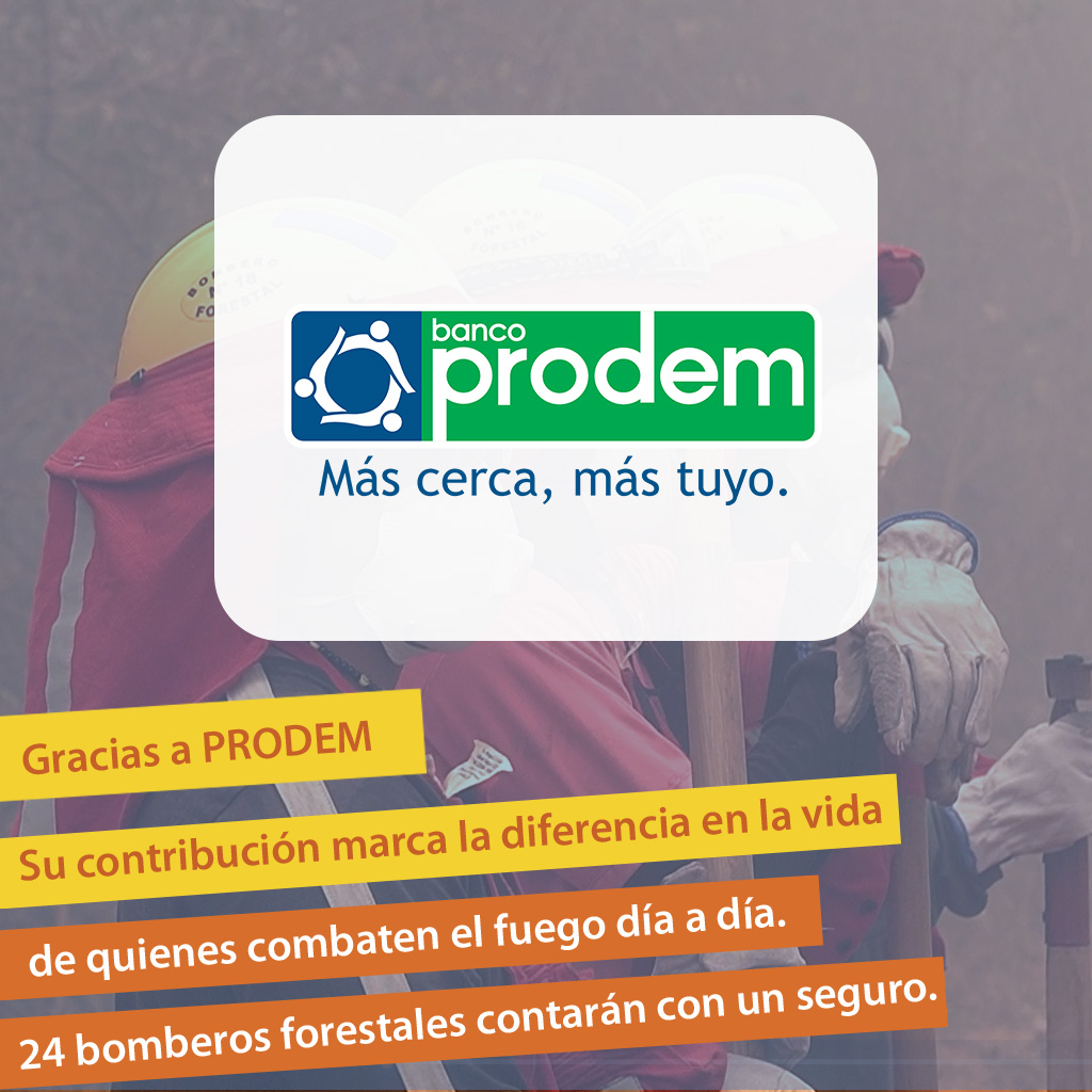 agradecimiento 15
