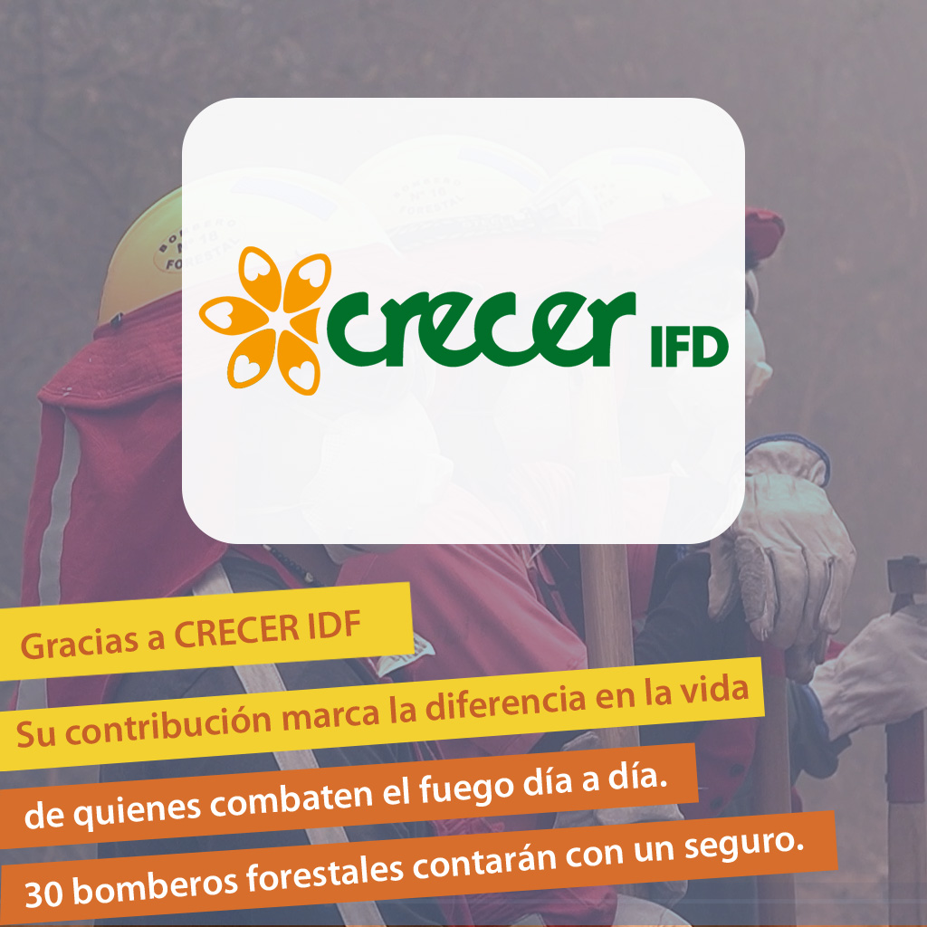 agradecimiento 8