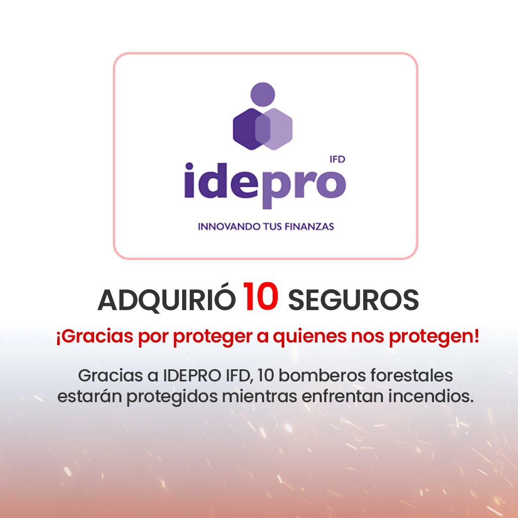 IDEPRO