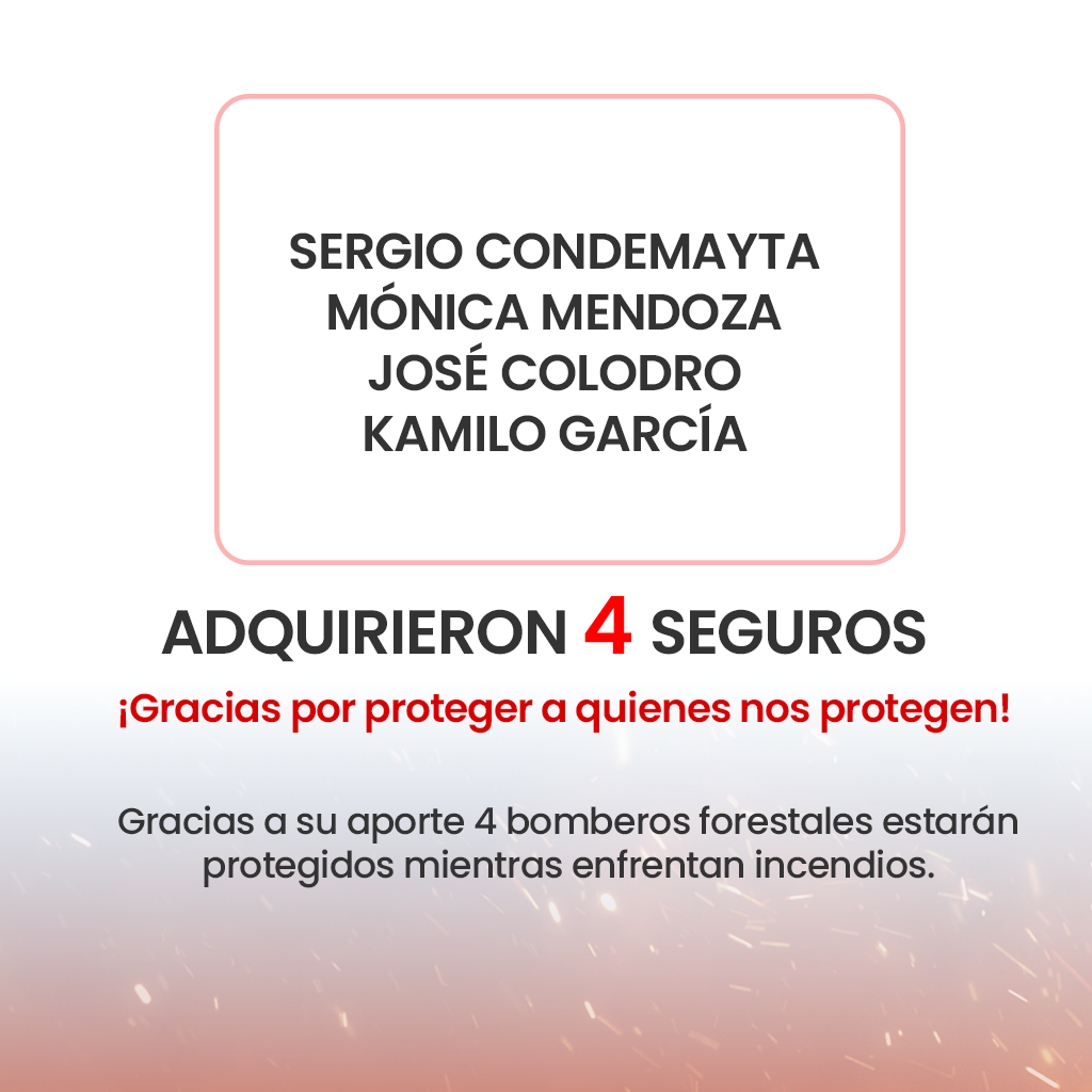 SOCIEDAD 11