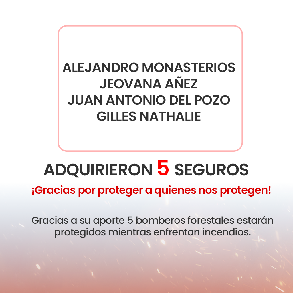 SOCIEDAD 12
